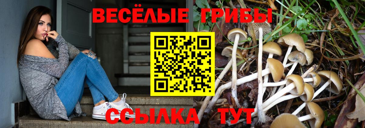 Псилоцибиновые грибы ЛСД  Вход с VPN  Азнакаево 