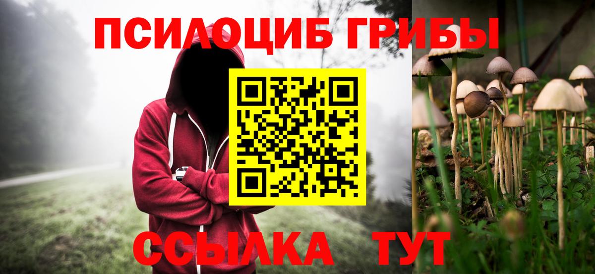 Галлюциногенные грибы MAGIC MUSHROOMS Азнакаево